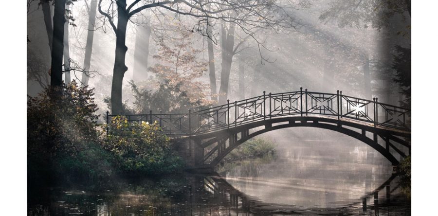 Bridge Over Water Curved Wall Art $149.99