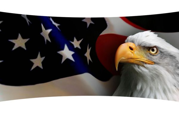 Flag with Eagle Curved Wall Art  $199.99