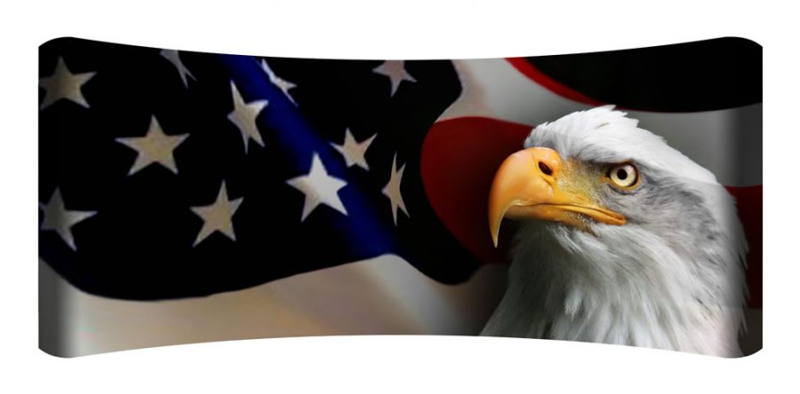 Flag with Eagle Curved Wall Art  $199.99