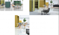 Pivot and Stripe Option