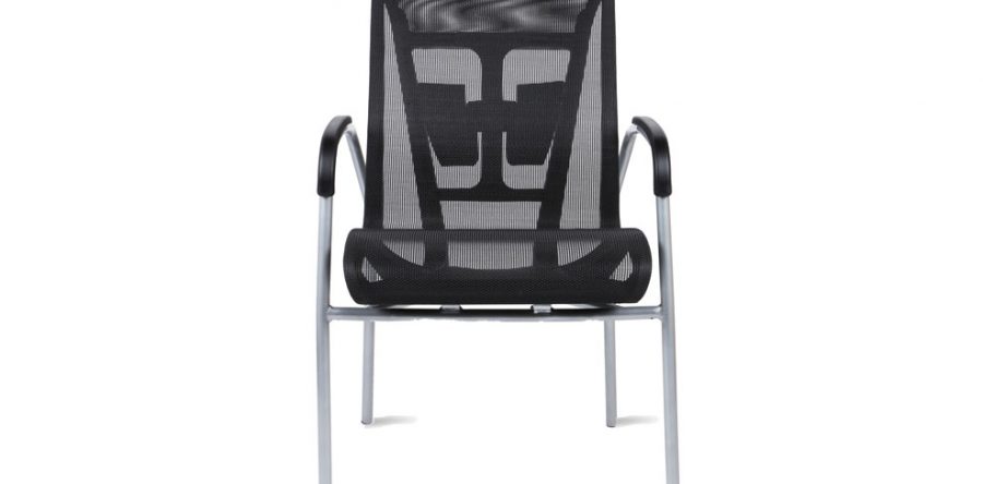 Cydia Guest chair LIST $437